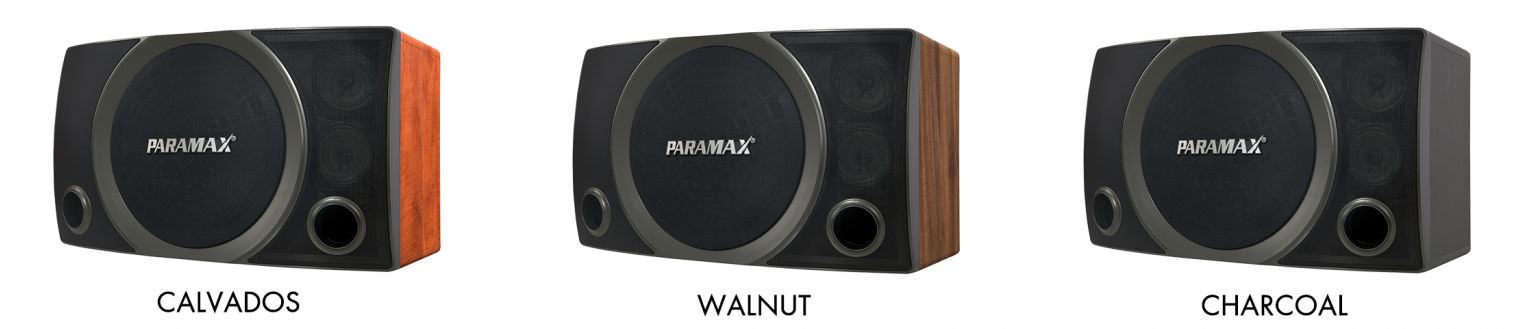 loa karaoke chuyên nghiệp